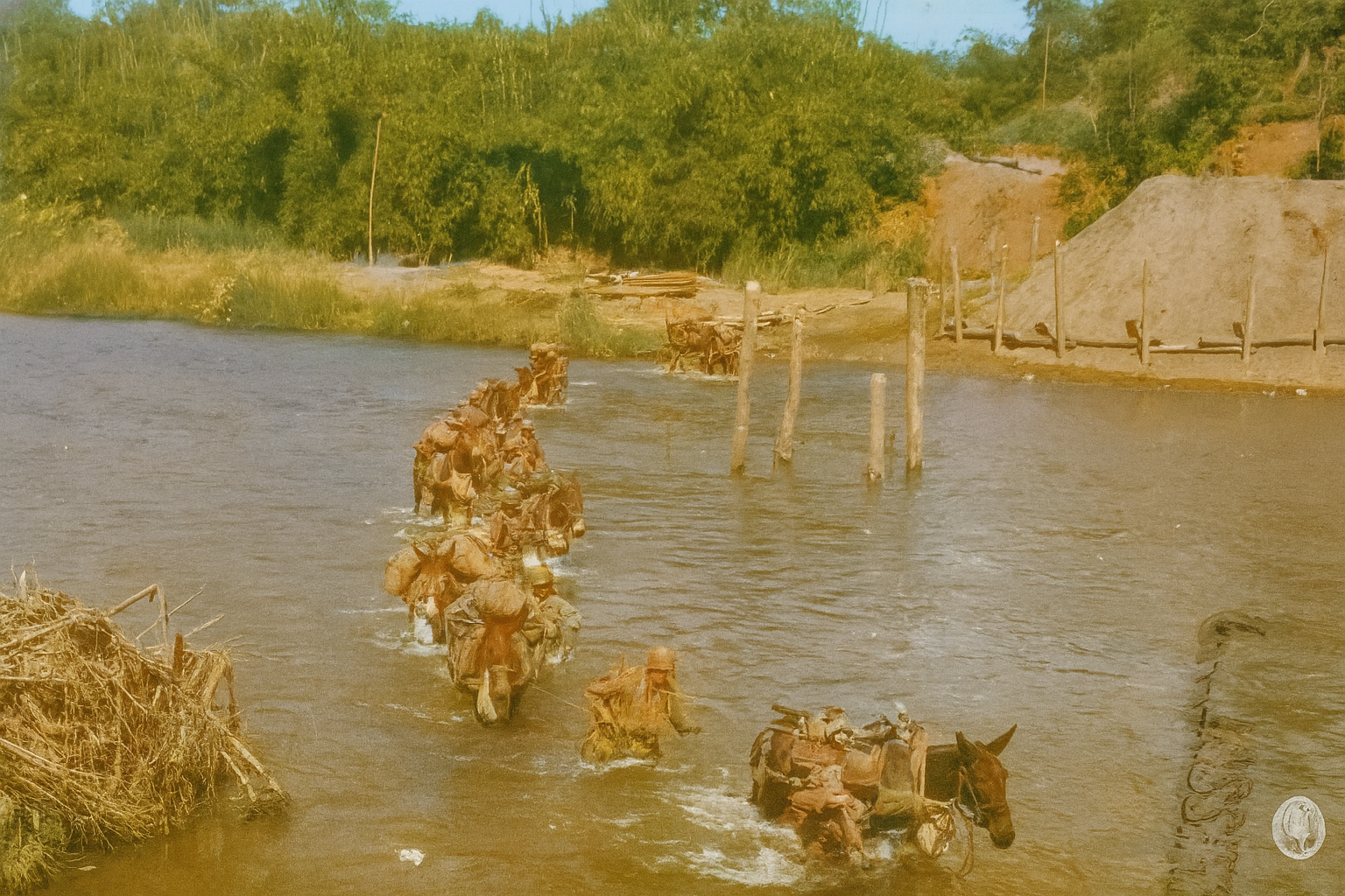 Army muleskinners and pack mules crossing river in Burma, 1944